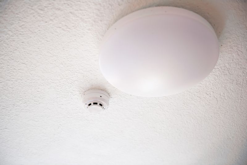 Smoke Detector Replacement detail